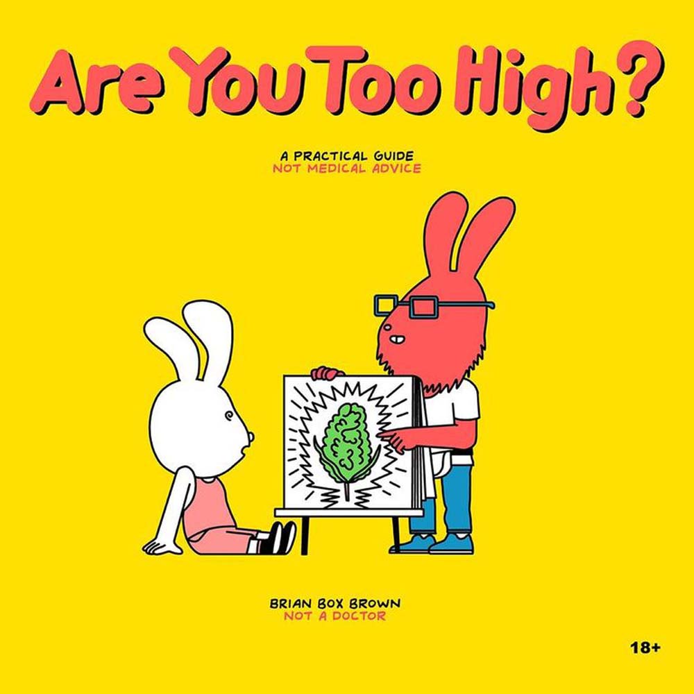 Are You Too High? Storybook  *
