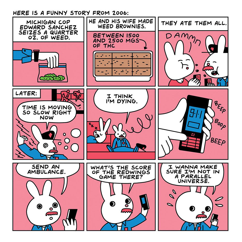 Are You Too High? Storybook  *