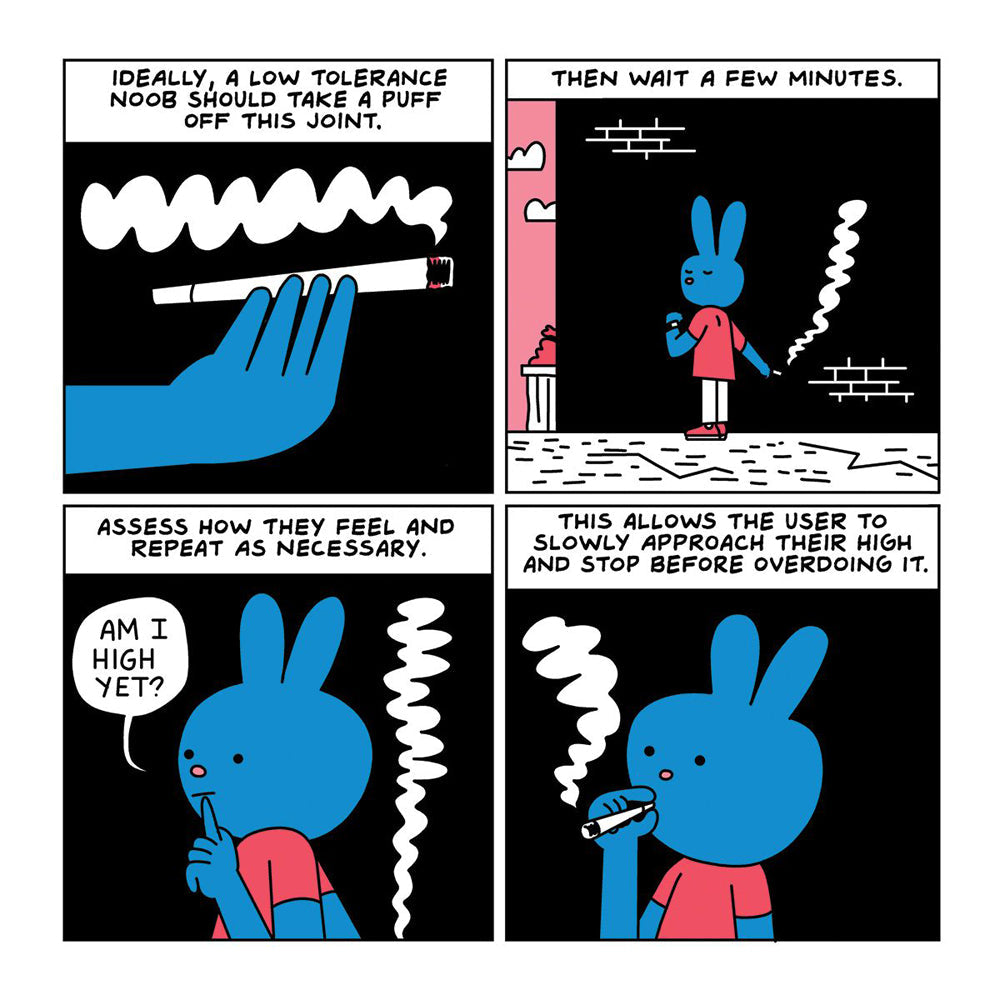 Are You Too High? Storybook  *